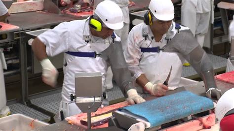 GENERAL MEAT PROCESSING WORKER Jobs in New .